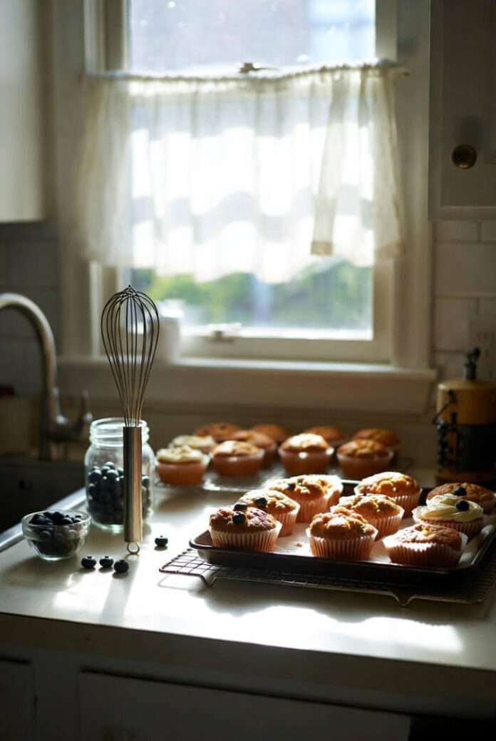 a slightly messy kitchen counter in a Queens apartment, warm window light hitting a tray of carrot blueberry cupcakes